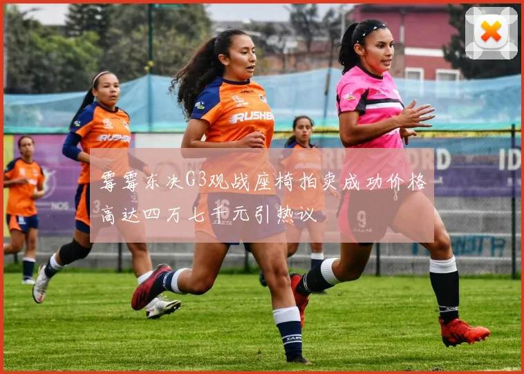 霉霉东决G3观战座椅拍卖成功价格高达四万七千元引热议