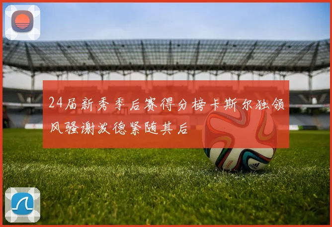24届新秀季后赛得分榜卡斯尔独领风骚谢泼德紧随其后