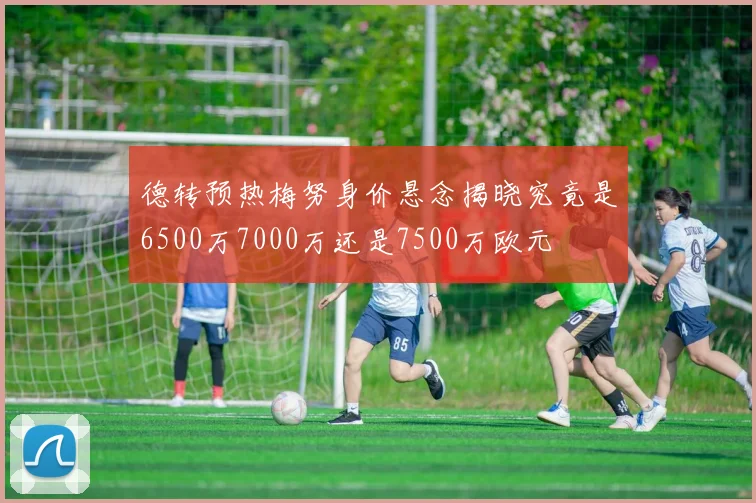 德转预热梅努身价悬念揭晓究竟是6500万7000万还是7500万欧元