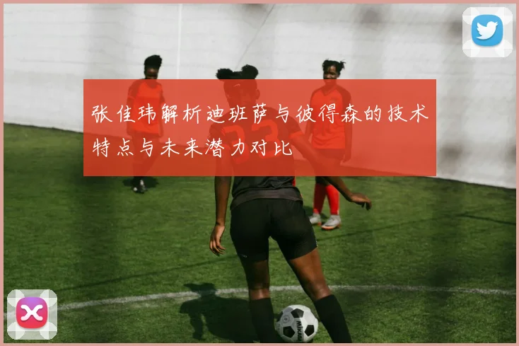 张佳玮解析迪班萨与彼得森的技术特点与未来潜力对比